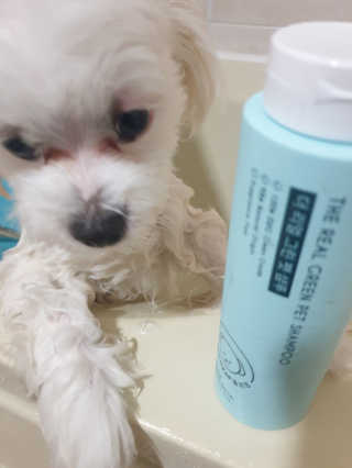 제주낭만고양이님이 올린 리뷰 사진 3