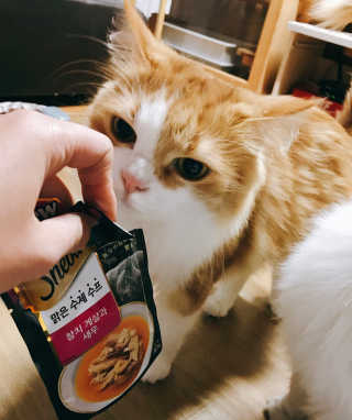 꽃재은님이 올린 리뷰 사진 2