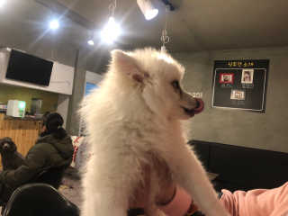 SeoHeeJin님이 올린 리뷰 사진 1