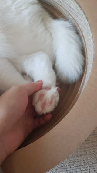 논지님이 올린 리뷰 사진 1