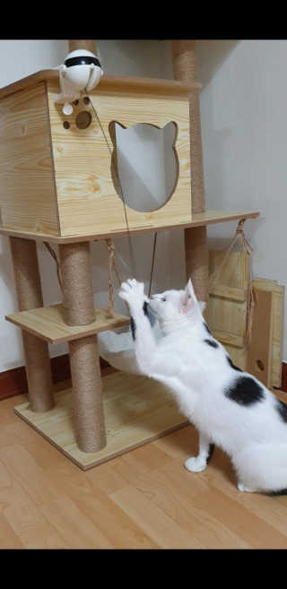 귀욤뽀짝센스쟁이님이 올린 리뷰 사진 2