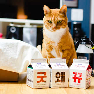[매일유업] 우유속에 어쩌구_3개 세트 모바일 쿠폰 — 5점을 준 리뷰어가 2019년 10월 올린 사용 사진