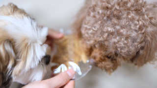 이슬비님이 올린 리뷰 사진 2