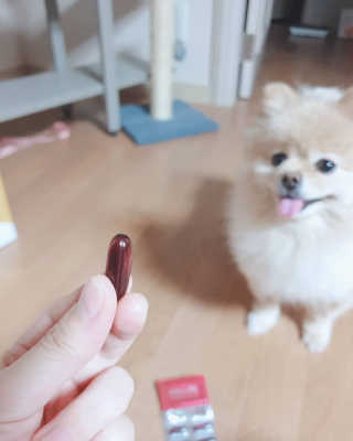 이너블릭 이너타임 크릴오일 — 3.5점을 준 리뷰어가 2019년 12월 올린 사용 사진