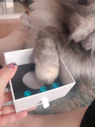 mushroombyjj님이 올린 리뷰 사진 3