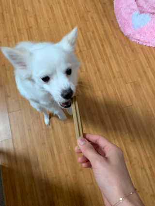 푸디웜 주식회사 [푸디웜] 강아지 저알러지 수제간식 3종세트 — 4점을 준 리뷰어가 2019년 2월 올린 사용 사진