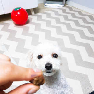 주여니이님이 올린 리뷰 사진 3