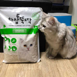 [펫토리아] BEST 고양이두부모래 6L 한삽뚝딱 — 4.5점을 준 리뷰어가 2019년 1월 올린 사용 사진