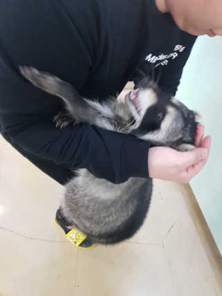 꿀피부님이 올린 리뷰 사진 3