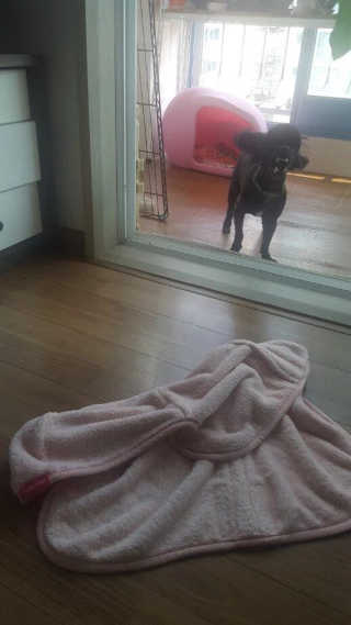 jieniiii님이 올린 리뷰 사진 1