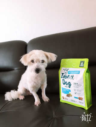아이린지니님이 올린 리뷰 사진 2