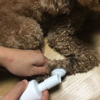 BakVeronica님이 올린 리뷰 사진 4