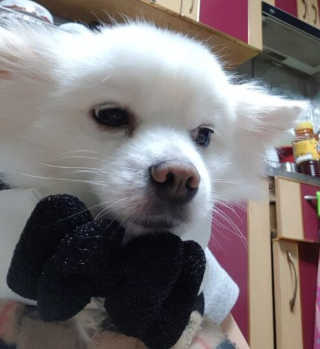 밍크찡님이 올린 리뷰 사진 3