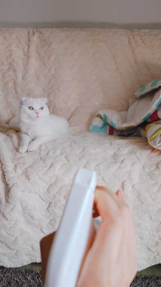 논지님이 올린 리뷰 사진 1