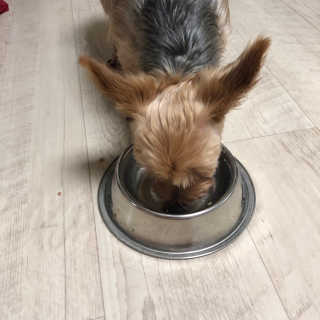 밤비님이 올린 리뷰 사진 2