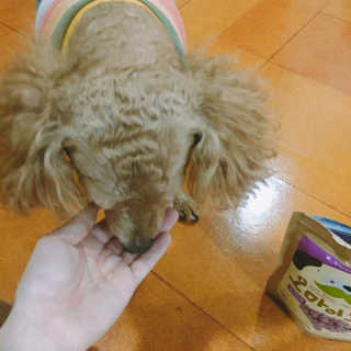 swany님이 올린 리뷰 사진 3