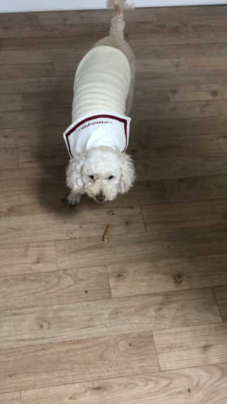 둥끼님이 올린 리뷰 사진 1