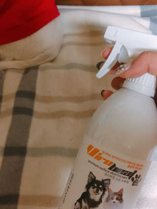 비비드앤님이 올린 리뷰 사진 1
