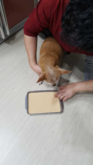유진오님이 올린 리뷰 사진 2