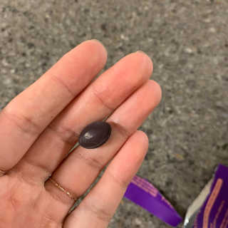 투밍님이 올린 리뷰 사진 4