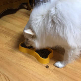 지우닝님이 올린 리뷰 사진 3