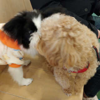 밍님이 올린 리뷰 사진 2