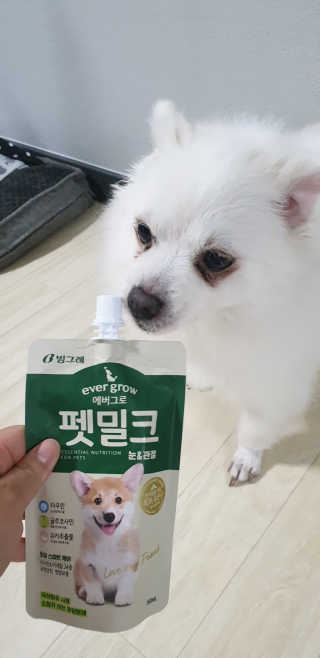 [빙그레] 에버그로 생유산균 1봉（10포입）+펫밀크2팩 — 5점을 준 리뷰어가 2019년 5월 올린 사용 사진
