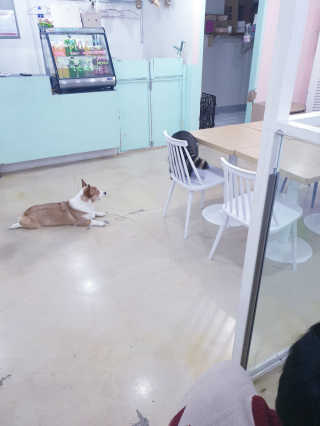 옹몽꽁맘님이 올린 리뷰 사진 4