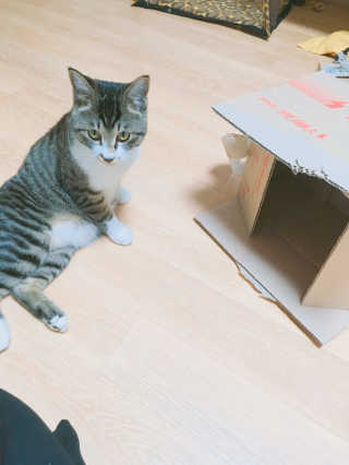 최지윤님이 올린 리뷰 사진 3