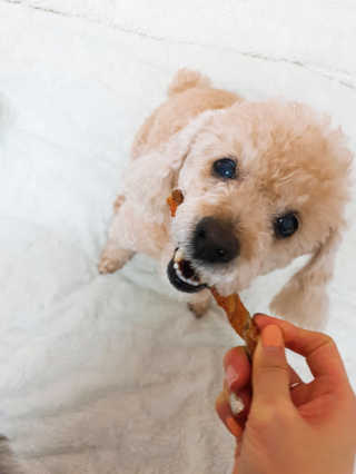 박정우님이 올린 리뷰 사진 2