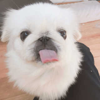 박정연님이 올린 리뷰 사진 3