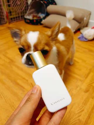 꼬몽쓰님이 올린 리뷰 사진 1