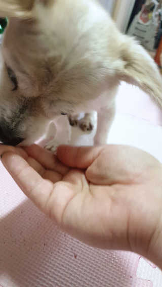 moomoon님이 올린 리뷰 사진 4