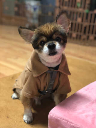 지뉴님이 올린 리뷰 사진 2
