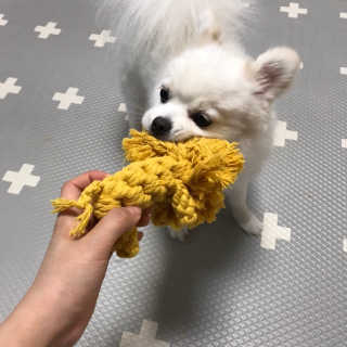 박수진님이 올린 리뷰 사진 3