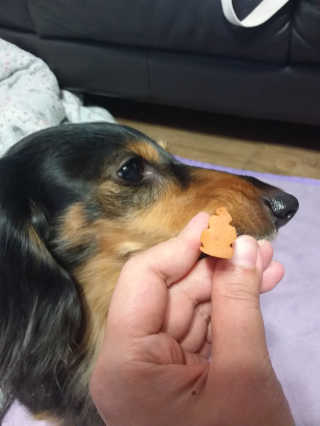 썬님이 올린 리뷰 사진 4