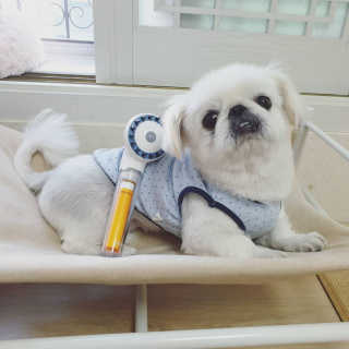 mini unni님이 올린 리뷰 사진 1