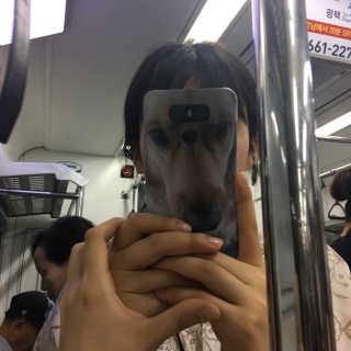 아보카도올리브님이 올린 리뷰 사진 1
