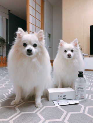 제인님이 올린 리뷰 사진 1