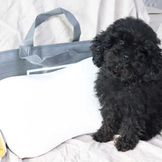 우와한언니님이 올린 리뷰 사진 4