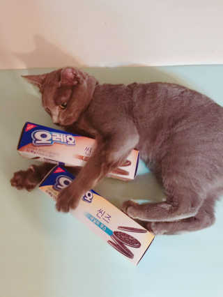 드니마마님이 올린 리뷰 사진 2