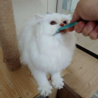 박지선님이 올린 리뷰 사진 3