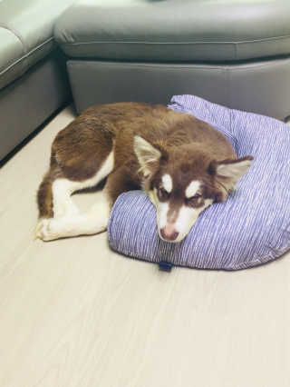 joimall님이 올린 리뷰 사진 4