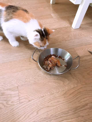 민댕댕이님이 올린 리뷰 사진 2