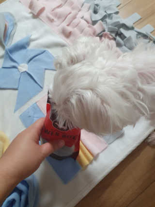 마이쭈님이 올린 리뷰 사진 3