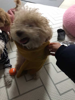 모모맘님이 올린 리뷰 사진 3