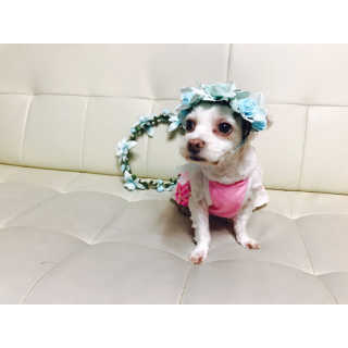 지케님이 올린 리뷰 사진 3