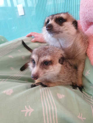 wony님이 올린 리뷰 사진 2