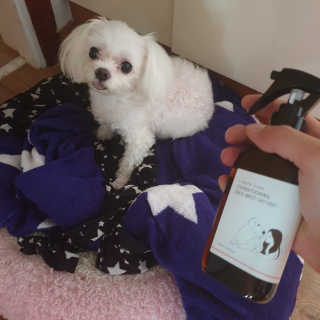 뱅이 !님이 올린 리뷰 사진 2