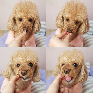 sombling0414님이 올린 리뷰 사진 2